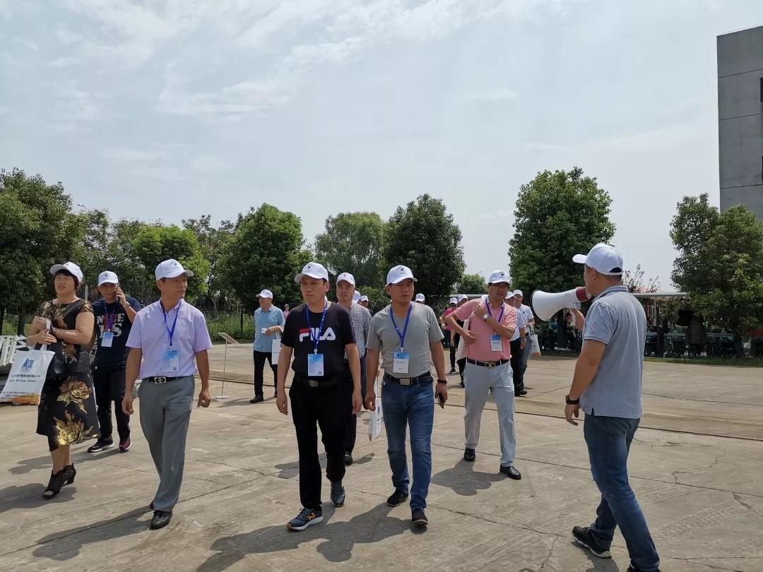 1567823562703371tLyO.jpg 6.webp.jpg